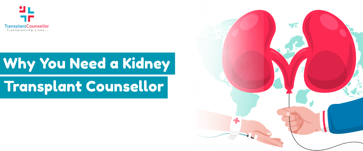 Why You Need a Kidney Transplant Counsellor