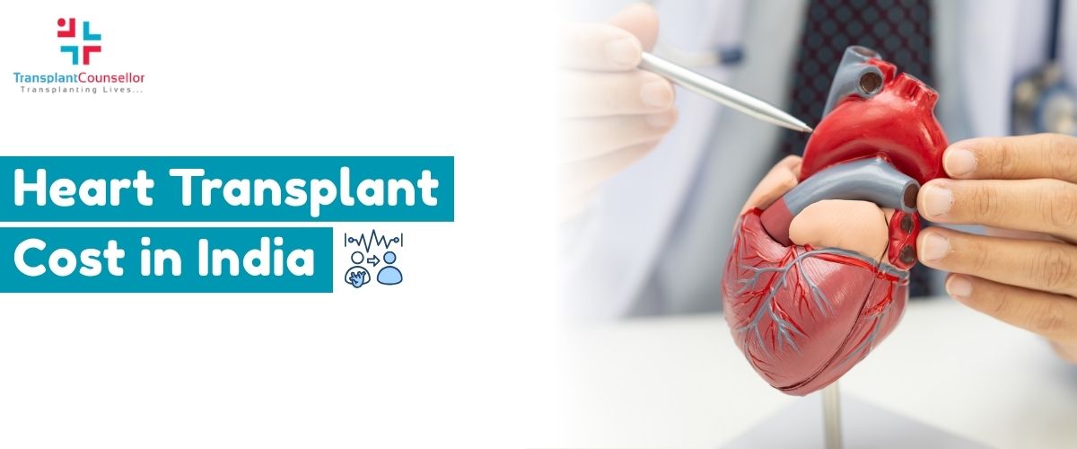 Cost breakdown chart of heart transplant surgery expenses in India